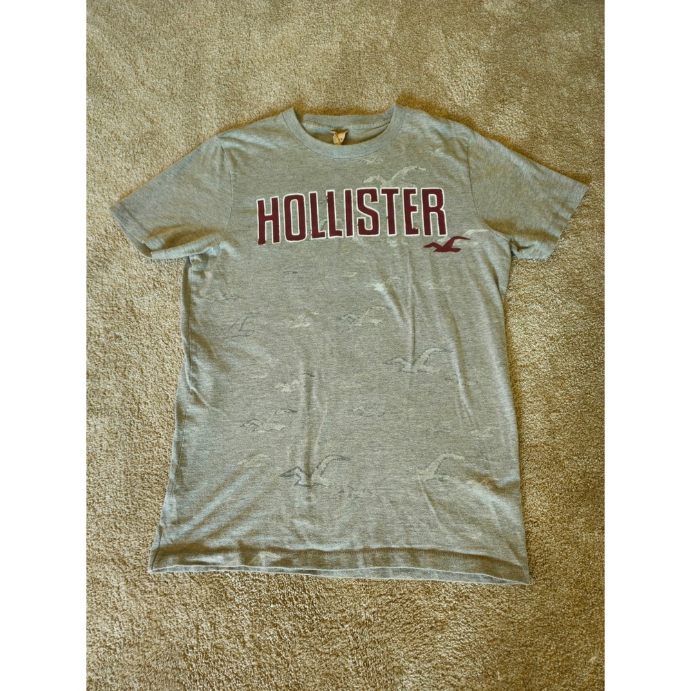 Vintage Hollister Graphic Tee Mens M Grey Short Sleeve Seagull Single Stitch Y2K